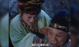 猪八戒背媳妇视频